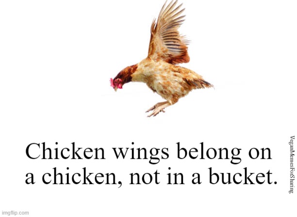 Animals, Birds and Fish Are Not Food | image tagged in vegan,chicken nuggets,bacon,hamburger,cheese,eggs | made w/ Imgflip meme maker