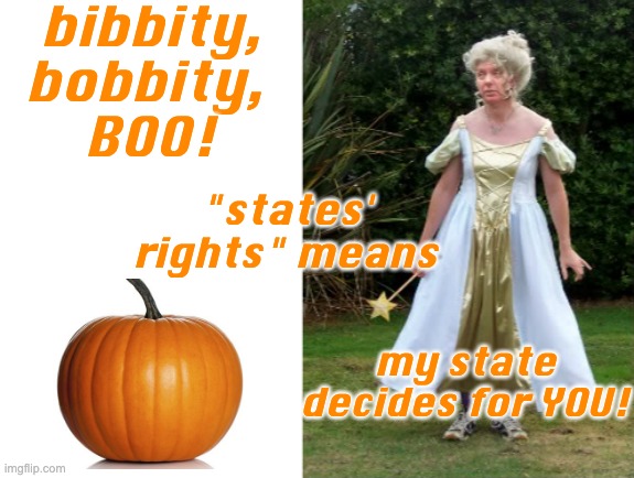 His dream is for women's rights to be . . . squashed | bibbity, bobbity, 
BOO! "states' rights" means; my state decides for YOU! | image tagged in lindsey graham fairy,fairy tale,cinderella,pumpkin,women's rights,lindsay graham | made w/ Imgflip meme maker