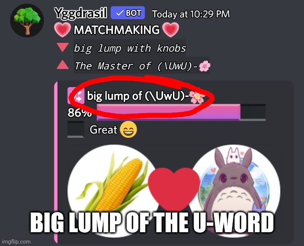 BIG LUMP OF THE U-WORD | made w/ Imgflip meme maker