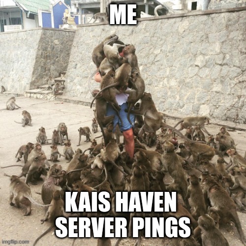 Kai AI Server be like | image tagged in kai,kai ai,discord,server,kai ai memes,kai memes | made w/ Imgflip meme maker