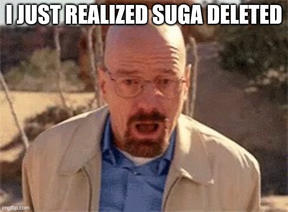 Walter White | I JUST REALIZED SUGA DELETED | image tagged in walter white | made w/ Imgflip meme maker