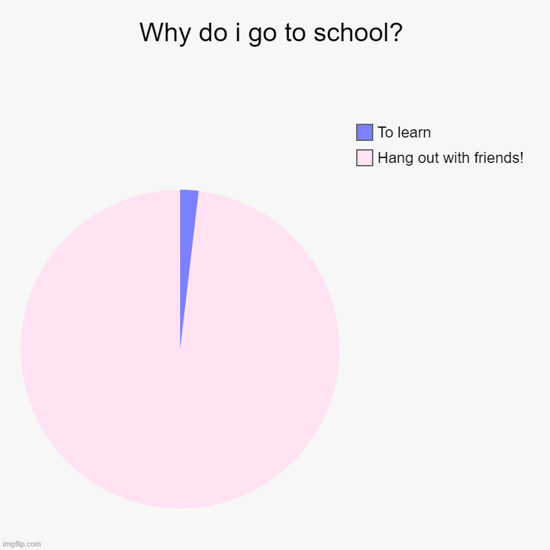 Why do i go to school? | Hang out with friends!, To learn | image tagged in charts,pie charts,school,hang out with friends | made w/ Imgflip chart maker