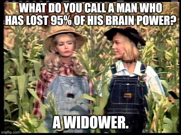 Widower | image tagged in brain,man,women talking,hillbillies | made w/ Imgflip meme maker