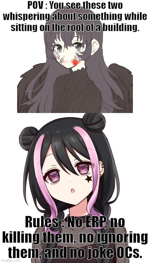 POV : You see these two whispering about something while sitting on the roof of a building. Rules : No ERP, no killing them, no ignoring them, and no joke OCs. | image tagged in blank white template | made w/ Imgflip meme maker