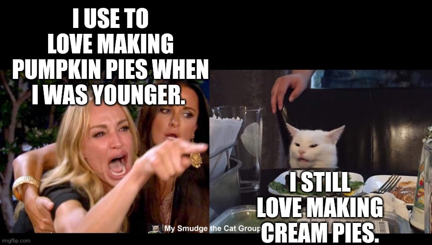 I USE TO LOVE MAKING PUMPKIN PIES WHEN I WAS YOUNGER. I STILL LOVE MAKING CREAM PIES. | image tagged in smudge the cat | made w/ Imgflip meme maker