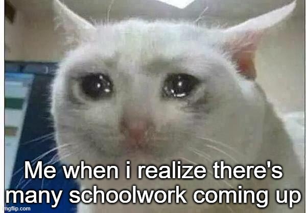 :'/ | Me when i realize there's many schoolwork coming up | image tagged in crying cat | made w/ Imgflip meme maker