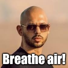 andrew tate | Breathe air! | image tagged in andrew tate | made w/ Imgflip meme maker