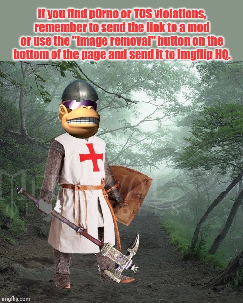 Mods are here to help | If you find p0rno or TOS violations, remember to send the link to a mod or use the "image removal" button on the bottom of the page and send it to Imgflip HQ. | image tagged in crusader kong,crusader | made w/ Imgflip meme maker