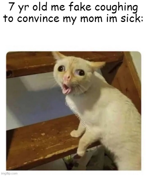 idk | 7 yr old me fake coughing to convince my mom im sick: | image tagged in coughing cat | made w/ Imgflip meme maker