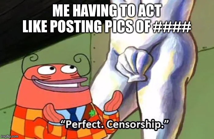 I don’t break imgflip’s rules and don’t want trouble | ME HAVING TO ACT LIKE POSTING PICS OF #### | image tagged in perfect censorship | made w/ Imgflip meme maker