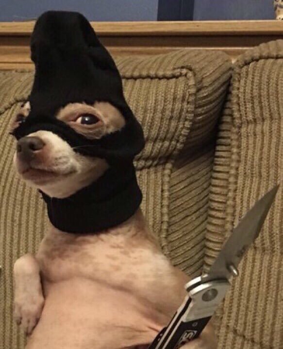 High Quality Dog with knife Blank Meme Template