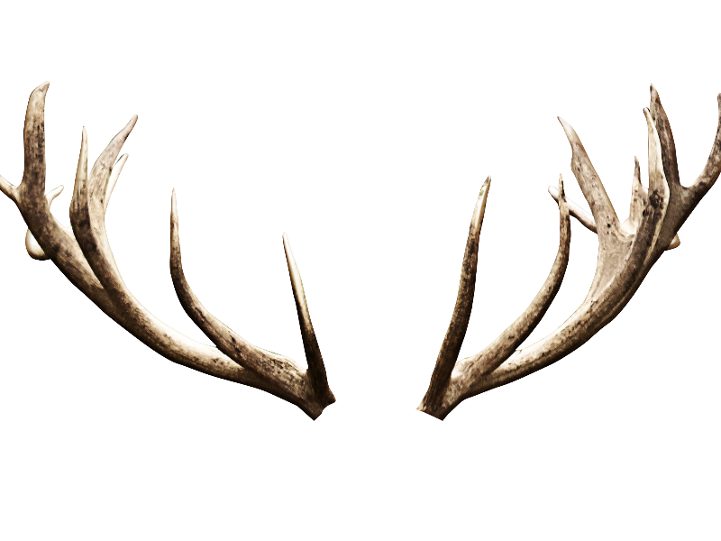 Antlers Blank Meme Template