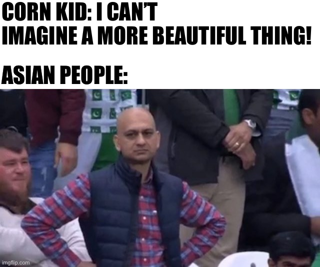 Rice > corn | CORN KID: I CAN’T IMAGINE A MORE BEAUTIFUL THING! ASIAN PEOPLE: | image tagged in muhammad sarim akhtar,asian,angry asian,corn kid | made w/ Imgflip meme maker