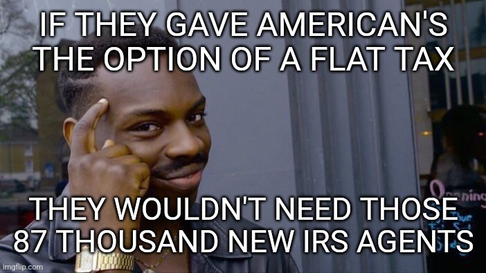 Roll Safe Think About It | IF THEY GAVE AMERICAN'S THE OPTION OF A FLAT TAX; THEY WOULDN'T NEED THOSE 87 THOUSAND NEW IRS AGENTS | image tagged in memes,roll safe think about it,flat tax,irs | made w/ Imgflip meme maker