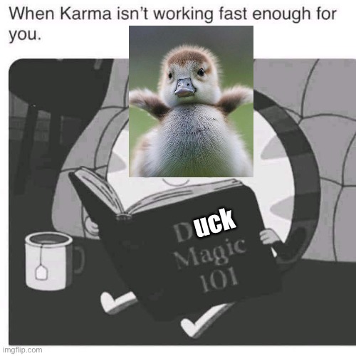 Duck magic | uck | image tagged in duck,karma,magic,101 | made w/ Imgflip meme maker
