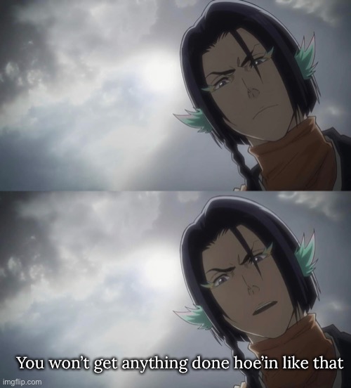 He’s right you know | You won’t get anything done hoe’in like that | image tagged in bleach | made w/ Imgflip meme maker
