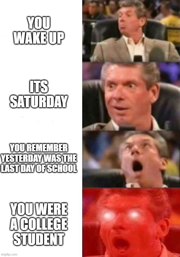your a adult now | YOU WAKE UP; ITS SATURDAY; YOU REMEMBER YESTERDAY WAS THE LAST DAY OF SCHOOL; YOU WERE A COLLEGE STUDENT | image tagged in mr mcmahon reaction | made w/ Imgflip meme maker