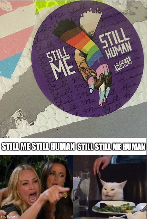 STILL STILL ME HUMAN; STILL ME STILL HUMAN | image tagged in woman yelling at a cat | made w/ Imgflip meme maker