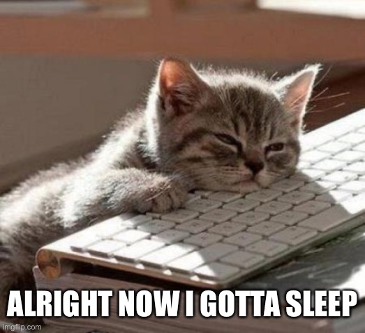 tired cat | ALRIGHT NOW I GOTTA SLEEP | image tagged in tired cat | made w/ Imgflip meme maker