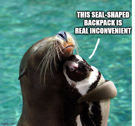 THIS SEAL-SHAPED BACKPACK IS REAL INCONVENIENT | image tagged in blank white template | made w/ Imgflip meme maker