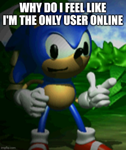 derpy sonic | WHY DO I FEEL LIKE I'M THE ONLY USER ONLINE | image tagged in derpy sonic | made w/ Imgflip meme maker