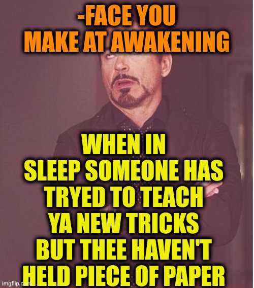 -My nasty face. | WHEN IN SLEEP SOMEONE HAS TRYED TO TEACH YA NEW TRICKS BUT THEE HAVEN'T HELD PIECE OF PAPER; -FACE YOU MAKE AT AWAKENING | image tagged in memes,face you make robert downey jr,sleeping shaq,new template,blank paper,i have no idea what i am doing | made w/ Imgflip meme maker