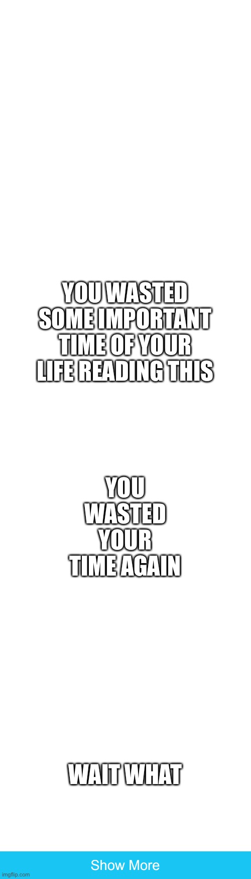 I had no idea what to do so... | YOU WASTED SOME IMPORTANT TIME OF YOUR LIFE READING THIS; YOU WASTED YOUR TIME AGAIN; WAIT WHAT | image tagged in long blank white template | made w/ Imgflip meme maker