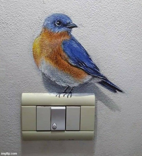 it may looks like a bird but it's actually a drawing :) | image tagged in drawing | made w/ Imgflip meme maker