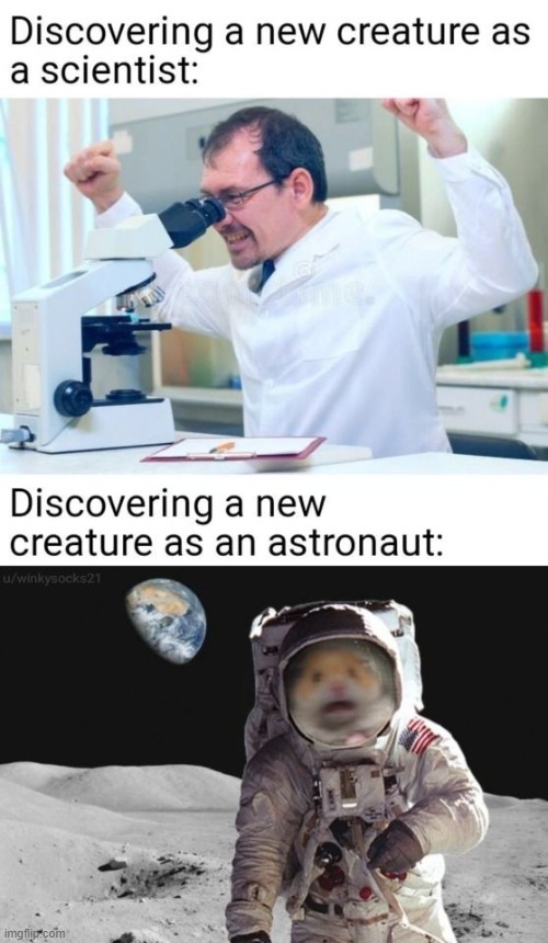 image tagged in repost,astronaut | made w/ Imgflip meme maker