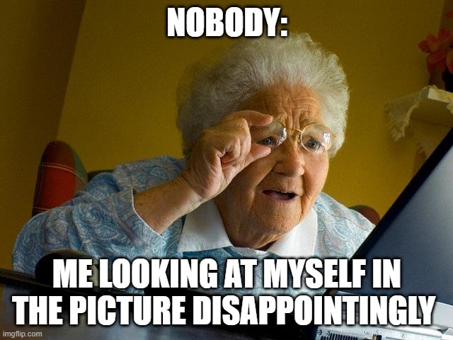 Grandma Finds The Internet | NOBODY:; ME LOOKING AT MYSELF IN THE PICTURE DISAPPOINTINGLY | image tagged in memes,grandma finds the internet | made w/ Imgflip meme maker