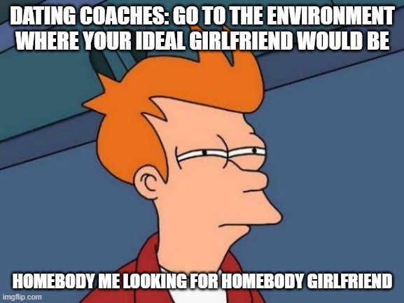 Homebody dating... | DATING COACHES: GO TO THE ENVIRONMENT WHERE YOUR IDEAL GIRLFRIEND WOULD BE; HOMEBODY ME LOOKING FOR HOMEBODY GIRLFRIEND | image tagged in memes,futurama fry | made w/ Imgflip meme maker