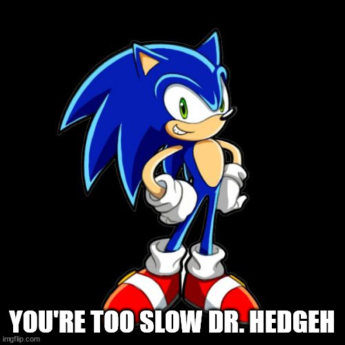 You're Too Slow Sonic Meme | YOU'RE TOO SLOW DR. HEDGEH | image tagged in memes,you're too slow sonic | made w/ Imgflip meme maker