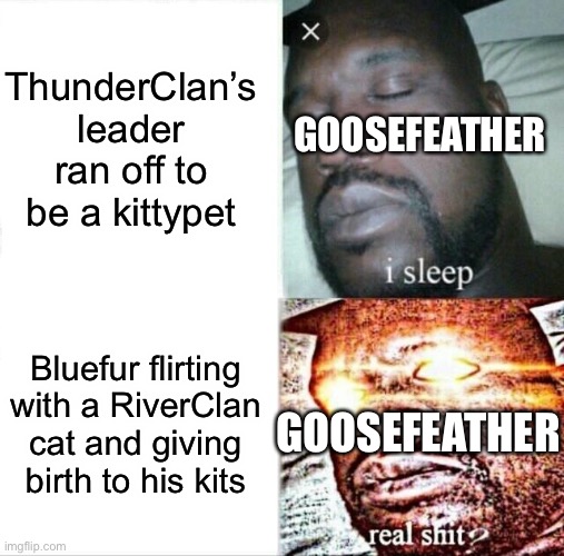 Goosebrain | ThunderClan’s leader ran off to be a kittypet; GOOSEFEATHER; Bluefur flirting with a RiverClan cat and giving birth to his kits; GOOSEFEATHER | image tagged in memes,sleeping shaq | made w/ Imgflip meme maker