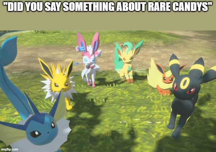 Eevees staring at the camera | "DID YOU SAY SOMETHING ABOUT RARE CANDYS" | image tagged in eevees staring at the camera | made w/ Imgflip meme maker