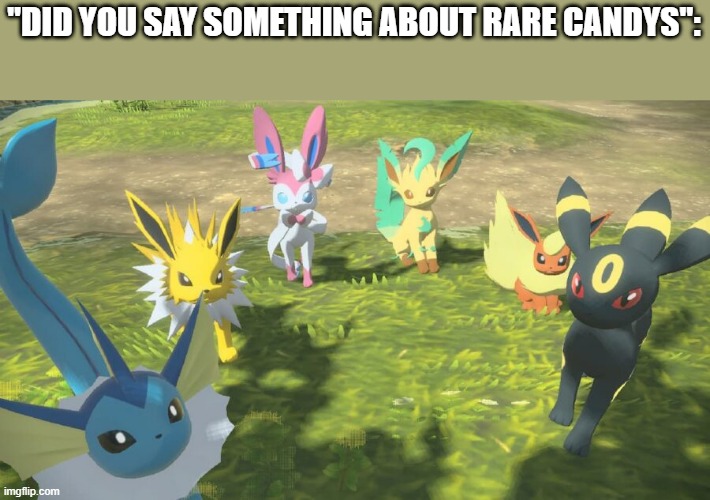 Eevees staring at the camera | "DID YOU SAY SOMETHING ABOUT RARE CANDYS": | image tagged in eevees staring at the camera | made w/ Imgflip meme maker