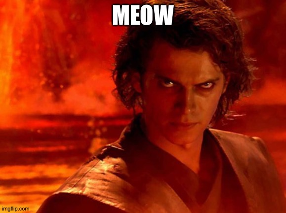 You Underestimate My Power | MEOW | image tagged in memes,you underestimate my power | made w/ Imgflip meme maker