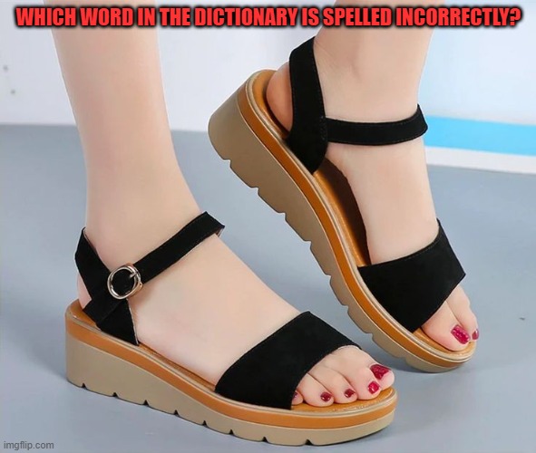 WHICH WORD IN THE DICTIONARY IS SPELLED INCORRECTLY? | image tagged in riddle,feet | made w/ Imgflip meme maker