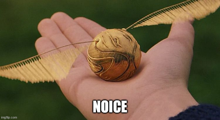 The Golden Snitch | NOICE | image tagged in the golden snitch | made w/ Imgflip meme maker