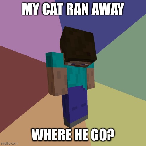 Minecraft Steve | MY CAT RAN AWAY WHERE HE GO? | image tagged in minecraft steve | made w/ Imgflip meme maker