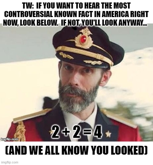 Well Obviously, But... | TW:  IF YOU WANT TO HEAR THE MOST CONTROVERSIAL KNOWN FACT IN AMERICA RIGHT NOW, LOOK BELOW.  IF NOT, YOU'LL LOOK ANYWAY... 2 + 2 = 4; (AND WE ALL KNOW YOU LOOKED) | image tagged in captain obvious,memes,so true,mathematics,common core,common sense | made w/ Imgflip meme maker