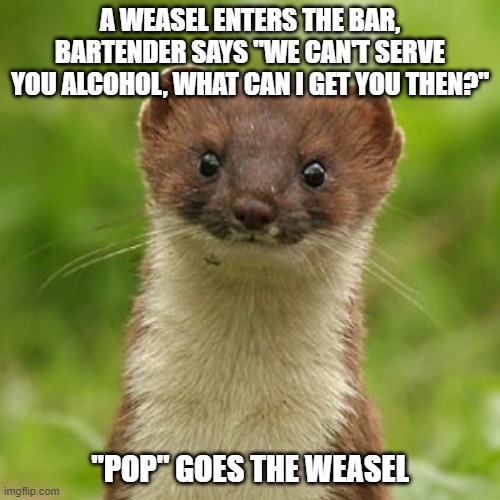 Drink Up | A WEASEL ENTERS THE BAR, BARTENDER SAYS "WE CAN'T SERVE YOU ALCOHOL, WHAT CAN I GET YOU THEN?"; "POP" GOES THE WEASEL | image tagged in no weason weasel | made w/ Imgflip meme maker