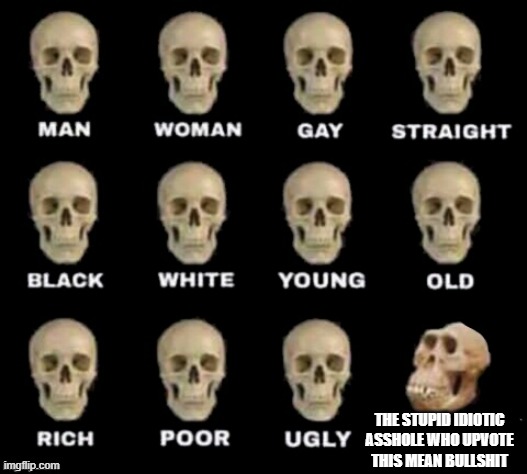 idiot skull | THE STUPID IDIOTIC ASSHOLE WHO UPVOTE THIS MEAN BULLSHIT | image tagged in idiot skull | made w/ Imgflip meme maker