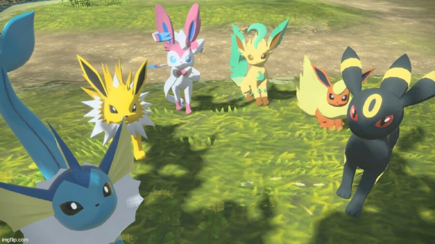 eevees | image tagged in eevees staring at the camera | made w/ Imgflip meme maker