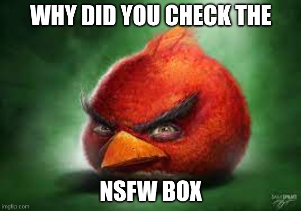 Realistic Red Angry Birds | WHY DID YOU CHECK THE; NSFW BOX | image tagged in realistic red angry birds | made w/ Imgflip meme maker