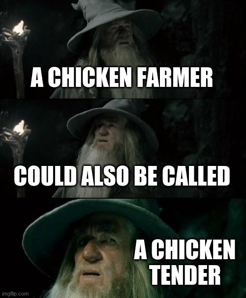 Confused Gandalf Meme | A CHICKEN FARMER; COULD ALSO BE CALLED; A CHICKEN TENDER | image tagged in memes,confused gandalf | made w/ Imgflip meme maker