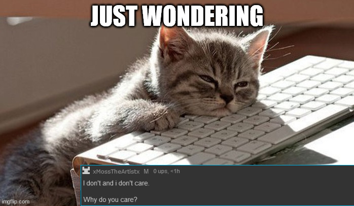 sleeping cat | JUST WONDERING | image tagged in sleeping cat | made w/ Imgflip meme maker