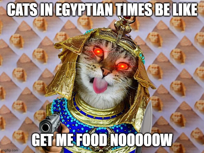 EVIL CATS | CATS IN EGYPTIAN TIMES BE LIKE; GET ME FOOD NOOOOOW | image tagged in cat with gun | made w/ Imgflip meme maker