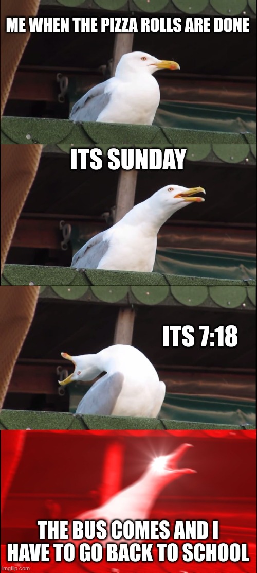 school | ME WHEN THE PIZZA ROLLS ARE DONE; ITS SUNDAY; ITS 7:18; THE BUS COMES AND I HAVE TO GO BACK TO SCHOOL | image tagged in memes,inhaling seagull | made w/ Imgflip meme maker