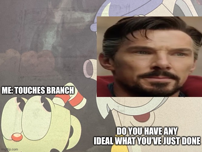 Time travel be like | ME: TOUCHES BRANCH; DO YOU HAVE ANY IDEAL WHAT YOU’VE JUST DONE | image tagged in dr strange | made w/ Imgflip meme maker