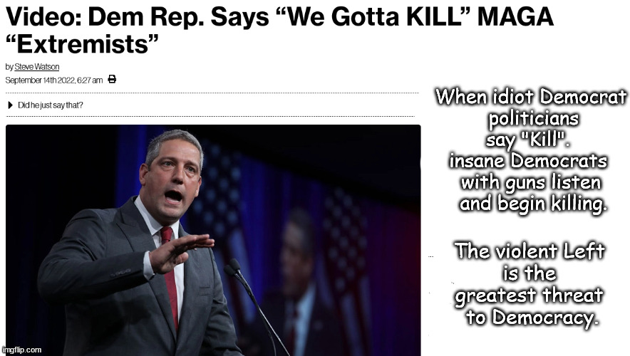 The violent Left's threat to Democracy. | When idiot Democrat
 politicians say "Kill". 
insane Democrats 
with guns listen
 and begin killing. The violent Left 
is the 
greatest threat 
to Democracy. | image tagged in memes,politics | made w/ Imgflip meme maker